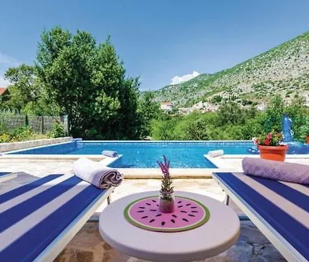 With Pool Petmat Vila Dubrovník