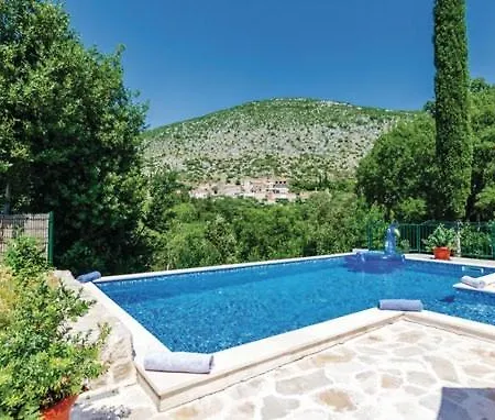 With Pool Petmat