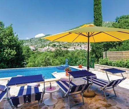 Villa With Pool Petmat